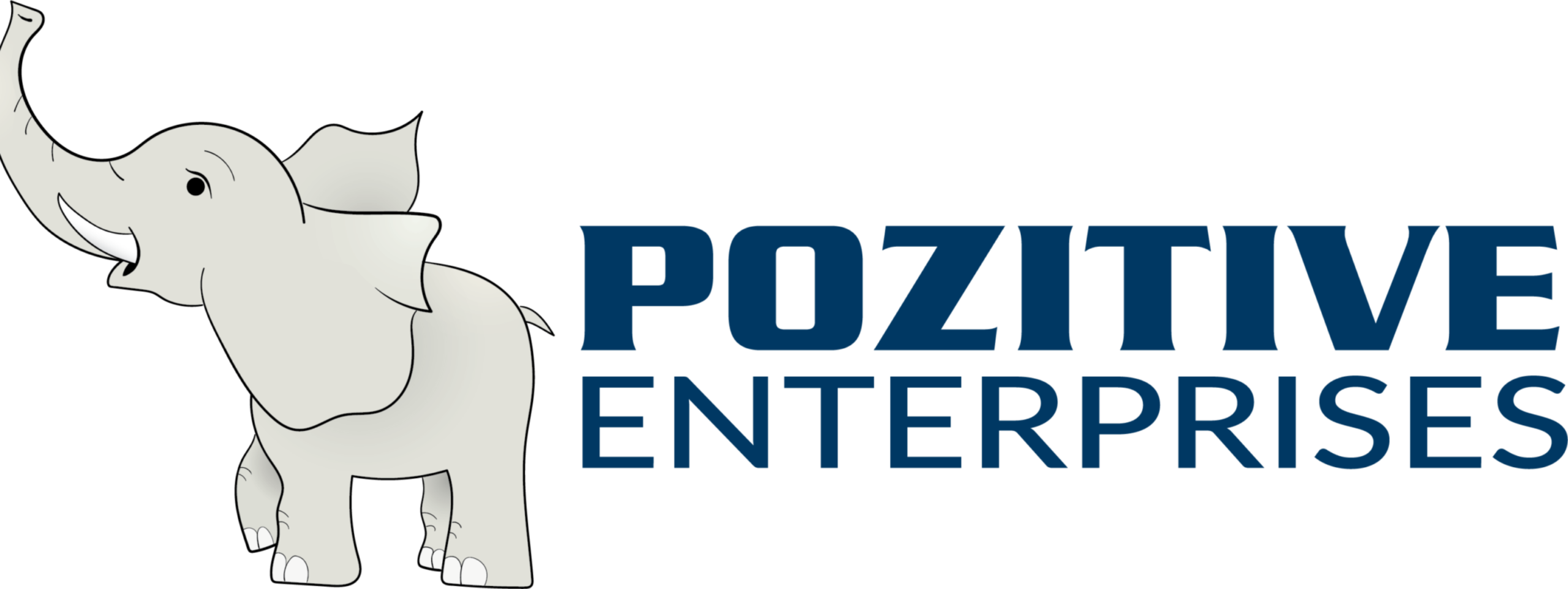 Pozitive Enterprises